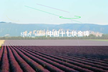 河池中国十七块金牌