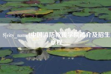 河池中国消防救援学院简介及招生章程
