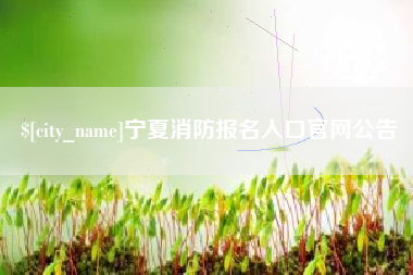 河池宁夏消防报名入口官网公告