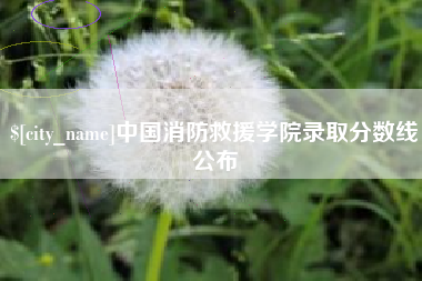 河池中国消防救援学院录取分数线公布