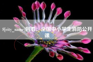 河池回看：全国中小学生消防公开课
