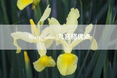 河池九宫格优点