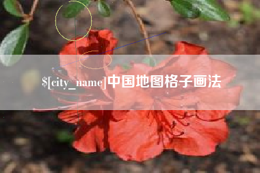 河池中国地图格子画法