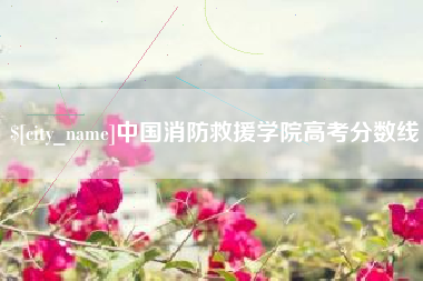 河池中国消防救援学院高考分数线