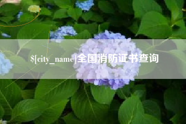 河池全国消防证书查询