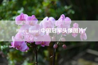 河池中国冠军头像图片