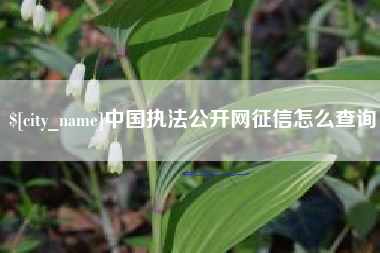河池中国执法公开网征信怎么查询