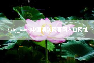 河池中国消防网官网入口网址
