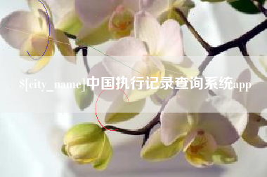 河池中国执行记录查询系统app