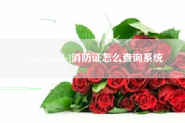 河池消防证怎么查询系统