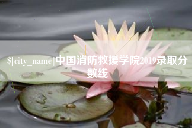 河池中国消防救援学院2019录取分数线
