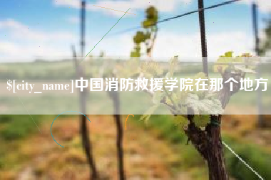 河池中国消防救援学院在那个地方