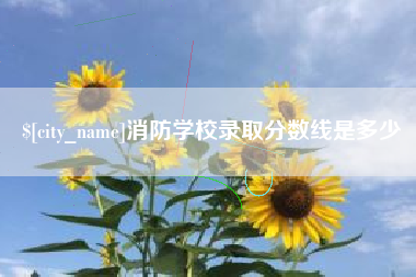河池消防学校录取分数线是多少