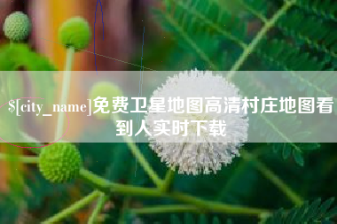 河池免费卫星地图高清村庄地图看到人实时下载