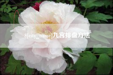 河池九宫排盘方法