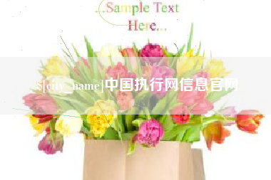 河池中国执行网信息官网