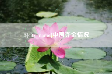 河池中国夺金情况