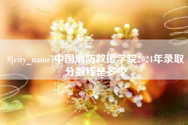 河池中国消防救援学院2024年录取分数线是多少