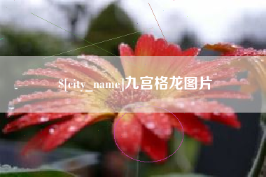 河池九宫格龙图片