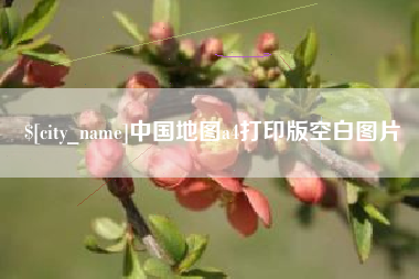 河池中国地图a4打印版空白图片