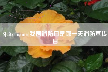 河池我国消防日是哪一天消防宣传日