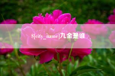 河池九金是谁