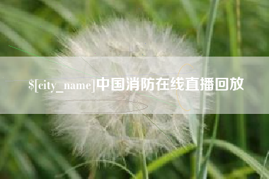 河池中国消防在线直播回放