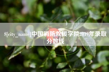 河池中国消防救援学院2019年录取分数线