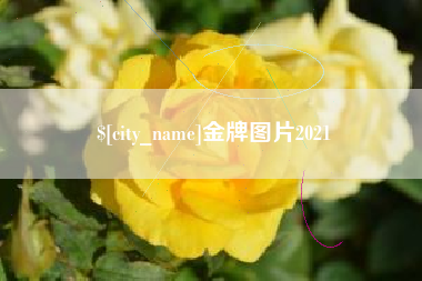 河池金牌图片2021