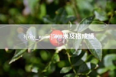 河池5000米及格成绩
