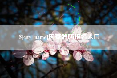 河池国家消防报名入口
