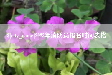 河池2025年消防员报名时间表格