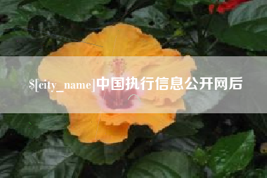 河池中国执行信息公开网后