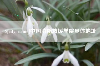 河池中国消防救援学院具体地址