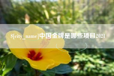 河池中国金牌是哪些项目2021
