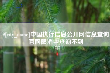 河池中国执行信息公开网信息查询官网限消中查询不到