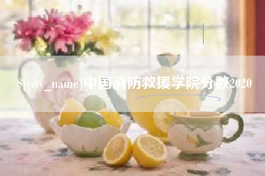 河池中国消防救援学院分数2020