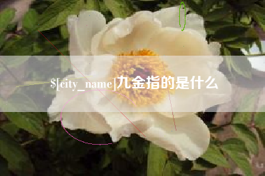 河池九金指的是什么