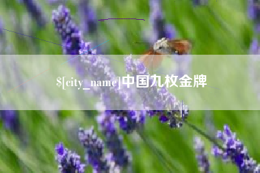 河池中国九枚金牌