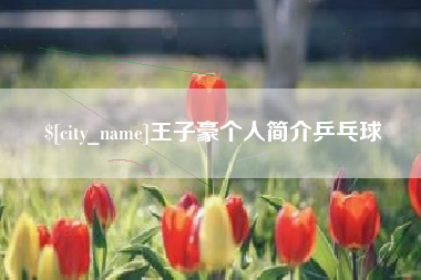 河池王子豪个人简介乒乓球