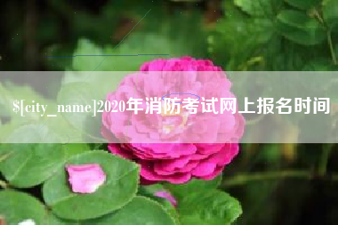 河池2020年消防考试网上报名时间