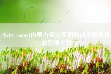 河池内蒙古自治区消防技术服务执业管理平台