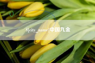 河池中国九金
