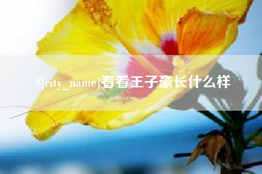 河池看看王子豪长什么样