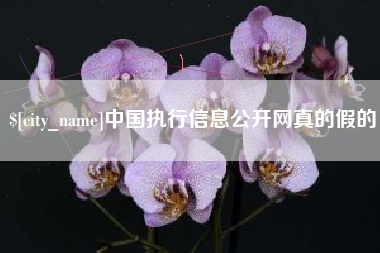 河池中国执行信息公开网真的假的