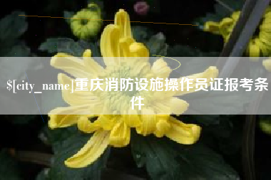 河池重庆消防设施操作员证报考条件