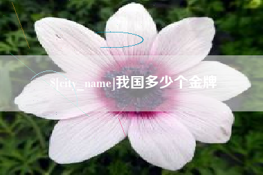 河池我国多少个金牌