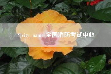 河池全国消防考试中心