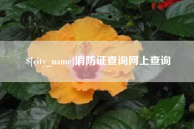 河池消防证查询网上查询