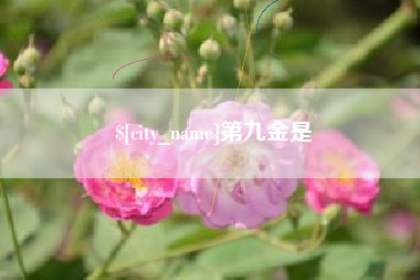 河池第九金是